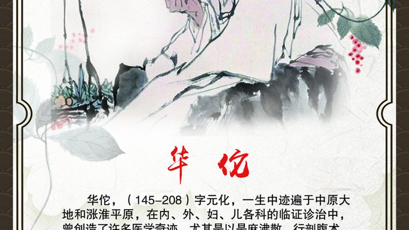 精油开背推拿按摩，价格背后的秘密与价值