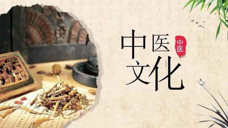 理疗馆器材选对，健康养生更安心**